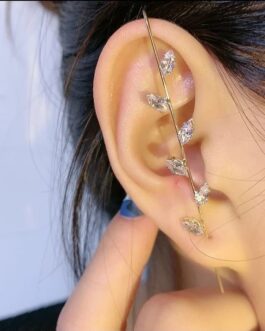 Ear Pieces